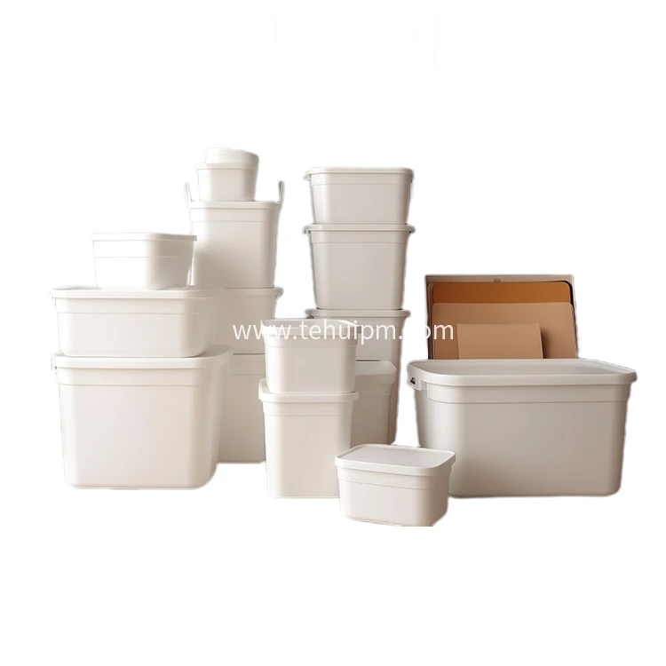 Plastic Container Mold